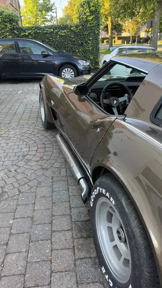 Chevrolet Corvette America, foto 2