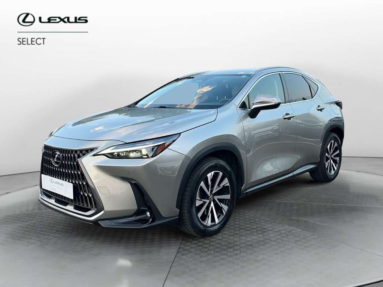 Lexus NX 300 NX Hybrid 4WD Premium