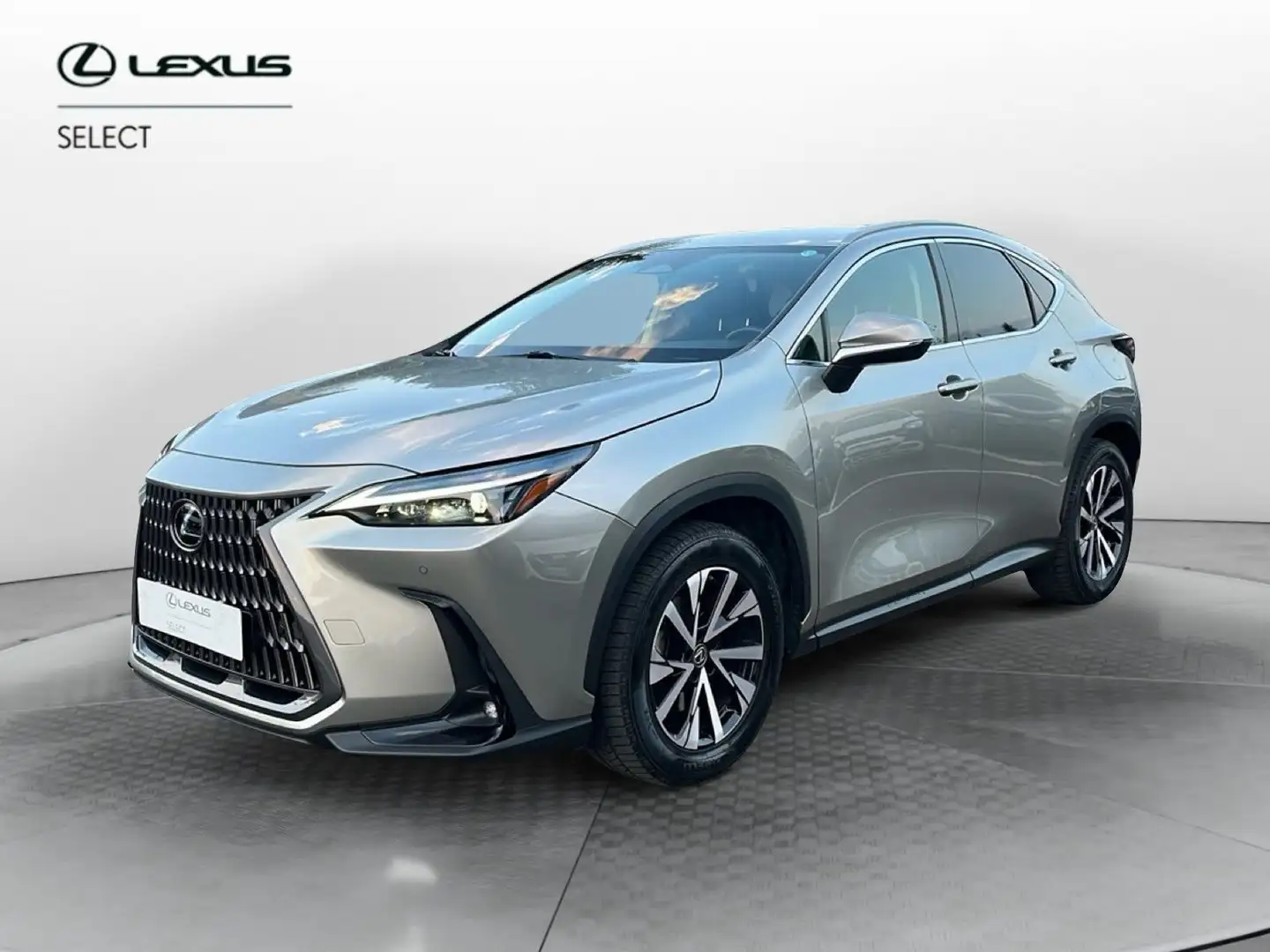 Lexus NX 300 NX Hybrid 4WD Premium Gris - 1