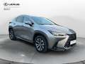 Lexus NX 300 NX Hybrid 4WD Premium Gris - thumbnail 3