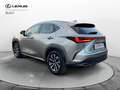 Lexus NX 300 NX Hybrid 4WD Premium Gris - thumbnail 2