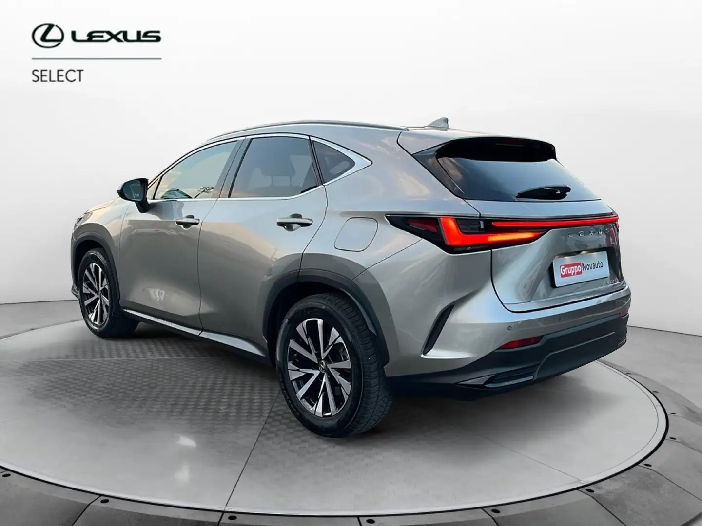 Lexus NX 300 NX Hybrid 4WD Premium Gris - 2