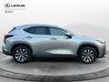 Lexus NX 300 NX Hybrid 4WD Premium Gris - thumbnail 5
