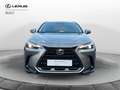 Lexus NX 300 NX Hybrid 4WD Premium Gris - thumbnail 7