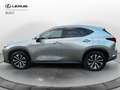 Lexus NX 300 NX Hybrid 4WD Premium Gris - thumbnail 6
