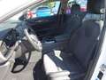 Opel Insignia 4x4 Business Inspektionspaket Big Deal! Blanc - thumbnail 7