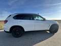 BMW X5 xDrive 30 d - 7sitzer Weiß - thumbnail 5