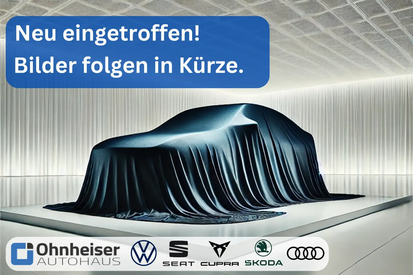 Volkswagen Tiguan 2.0 TDI DSG Highline 4Motion AHK*RFK*HuD*SH Blau - 1
