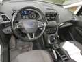 Ford C-Max C-MAX 1,5 TDCi Titanium 1.BESITZ  PICKERL NEU Silber - thumbnail 11