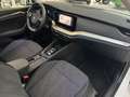 Skoda Octavia 2.0 TDI DSG Combi Style Navi HUD ACC SHZ Matrix Weiß - thumbnail 19