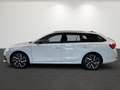 Skoda Octavia Combi 2.0 TDI 4x4 Sportline *HEAD-UP*PANO*MATRIX* Weiß - thumbnail 7
