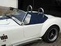 AC Sonstige Pilgrim Cobra Sumo MKIII Zustandnote 1- LHD Weiß - thumbnail 6