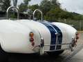 AC Sonstige Pilgrim Cobra Sumo MKIII Zustandnote 1- LHD Weiß - thumbnail 15