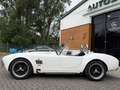 AC Sonstige Pilgrim Cobra Sumo MKIII Zustandnote 1- LHD Weiß - thumbnail 24
