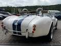 AC Sonstige Pilgrim Cobra Sumo MKIII Zustandnote 1- LHD Weiß - thumbnail 11