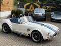 AC Sonstige Pilgrim Cobra Sumo MKIII Zustandnote 1- LHD Weiß - thumbnail 8