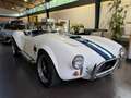 AC Sonstige Pilgrim Cobra Sumo MKIII Zustandnote 1- LHD Weiß - thumbnail 40
