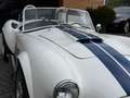 AC Sonstige Pilgrim Cobra Sumo MKIII Zustandnote 1- LHD Weiß - thumbnail 21