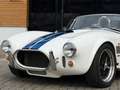 AC Sonstige Pilgrim Cobra Sumo MKIII Zustandnote 1- LHD Weiß - thumbnail 2
