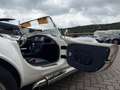 AC Sonstige Pilgrim Cobra Sumo MKIII Zustandnote 1- LHD Weiß - thumbnail 32