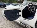 AC Sonstige Pilgrim Cobra Sumo MKIII Zustandnote 1- LHD Weiß - thumbnail 29