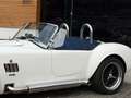 AC Sonstige Pilgrim Cobra Sumo MKIII Zustandnote 1- LHD Weiß - thumbnail 5