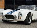 AC Sonstige Pilgrim Cobra Sumo MKIII Zustandnote 1- LHD Weiß - thumbnail 13