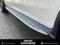 Mercedes-Benz GLC 63 AMG AMG GLC 63 4M+ Perf.AGA+Night+Trittbretter+Busin Wit - thumbnail 39