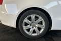 Audi A5 2.7 V6 TDI DPF Ambition Luxe Multitronic Blanc - thumbnail 20