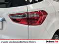 Ford EcoSport 1.5 tdci titanium s&s 100cv Wit - thumbnail 23