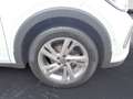 Volkswagen T-Cross 1.5 TSI DSG R-Line Navi ACC beats Kamera Weiß - thumbnail 12