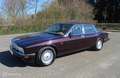 Daimler Double Six Jaguar 6.0 V12 6.0 V12 Violett - thumbnail 14