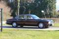 Daimler Double Six Jaguar 6.0 V12 6.0 V12 Violett - thumbnail 4