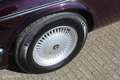 Daimler Double Six Jaguar 6.0 V12 6.0 V12 Violett - thumbnail 34