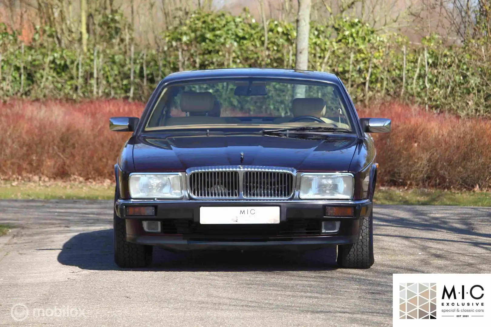 Daimler Double Six Jaguar 6.0 V12 6.0 V12 Violett - 2