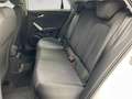 Audi Q2 35 1.5 tfsi admired s-tronic Bianco - thumbnail 10