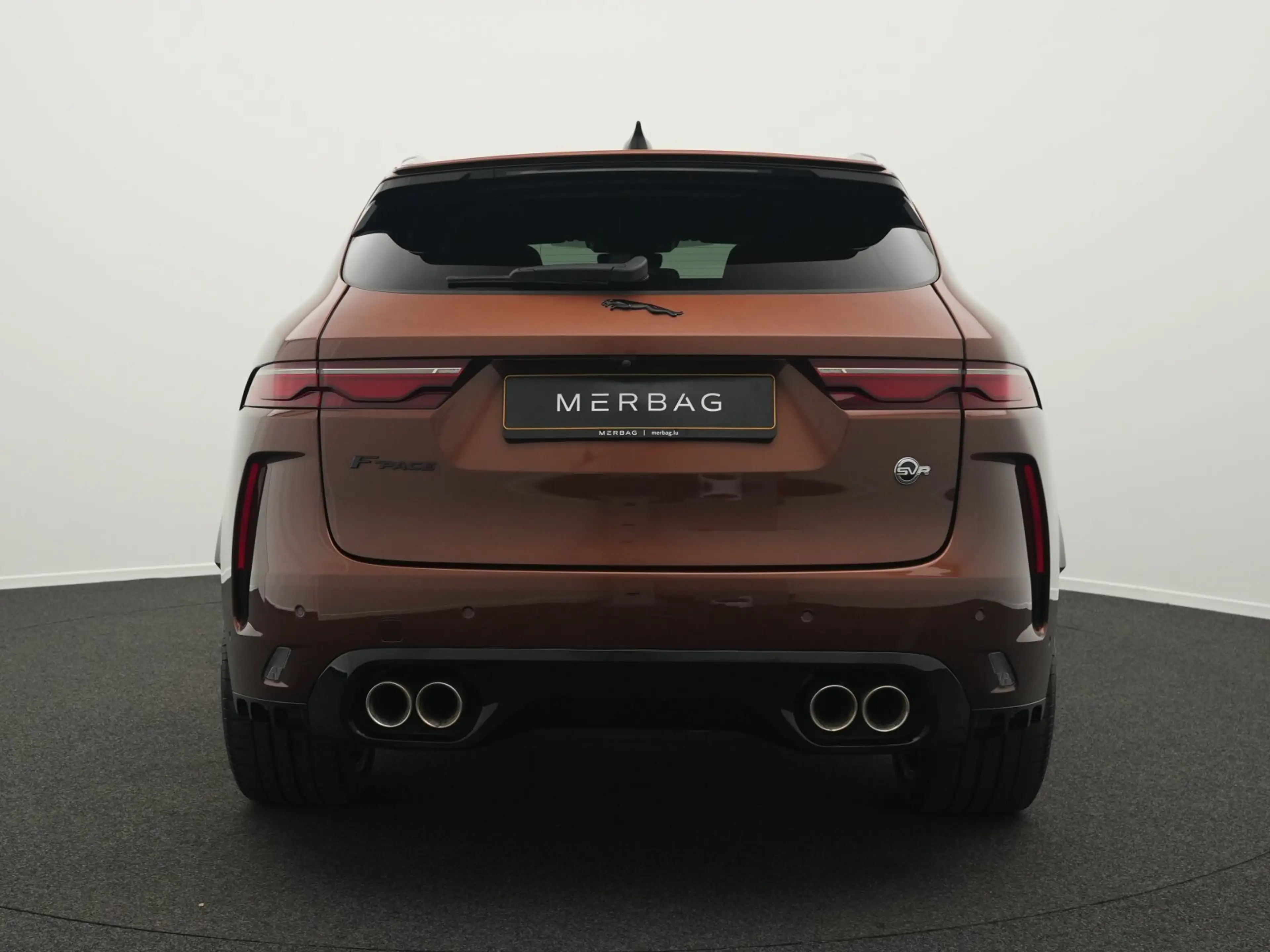 Jaguar F-Pace F-PACE P550 SVR AWD (EURO 6d) — photo 4