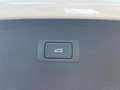 Audi Q5 40 TDI 204CV qu. S tr. Business Adv. Weiß - thumbnail 10