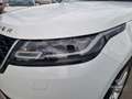 Land Rover Range Rover Velar Range Rover Velar 2.0D I4 240 CV SE Bianco - thumbnail 5