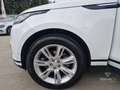 Land Rover Range Rover Velar Range Rover Velar 2.0D I4 240 CV SE Bianco - thumbnail 7