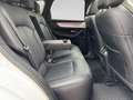 Mazda CX-60 2.5L e-SKYACTIV PHEV 327ps 8AT AWD HOMURA CO Weiß - thumbnail 20