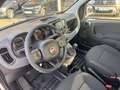 Fiat Panda Base, Mild Hybrid, Klima, DAB+ Weiß - thumbnail 9