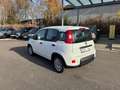 Fiat Panda Base, Mild Hybrid, Klima, DAB+ Weiß - thumbnail 3