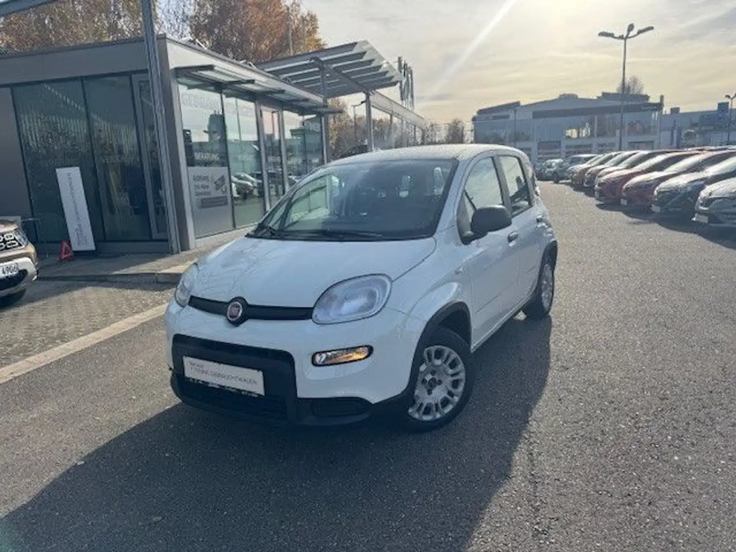 Fiat Panda Base, Mild Hybrid, Klima, DAB+ Weiß - 1
