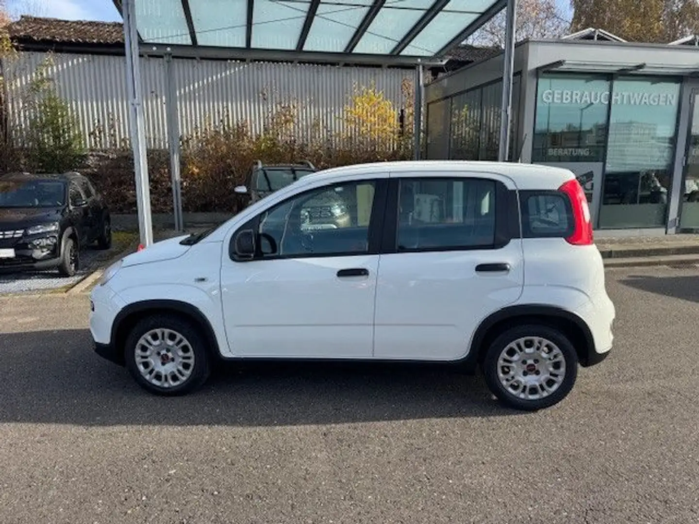 Fiat Panda Base, Mild Hybrid, Klima, DAB+ Weiß - 2