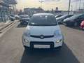 Fiat Panda Base, Mild Hybrid, Klima, DAB+ Weiß - thumbnail 8