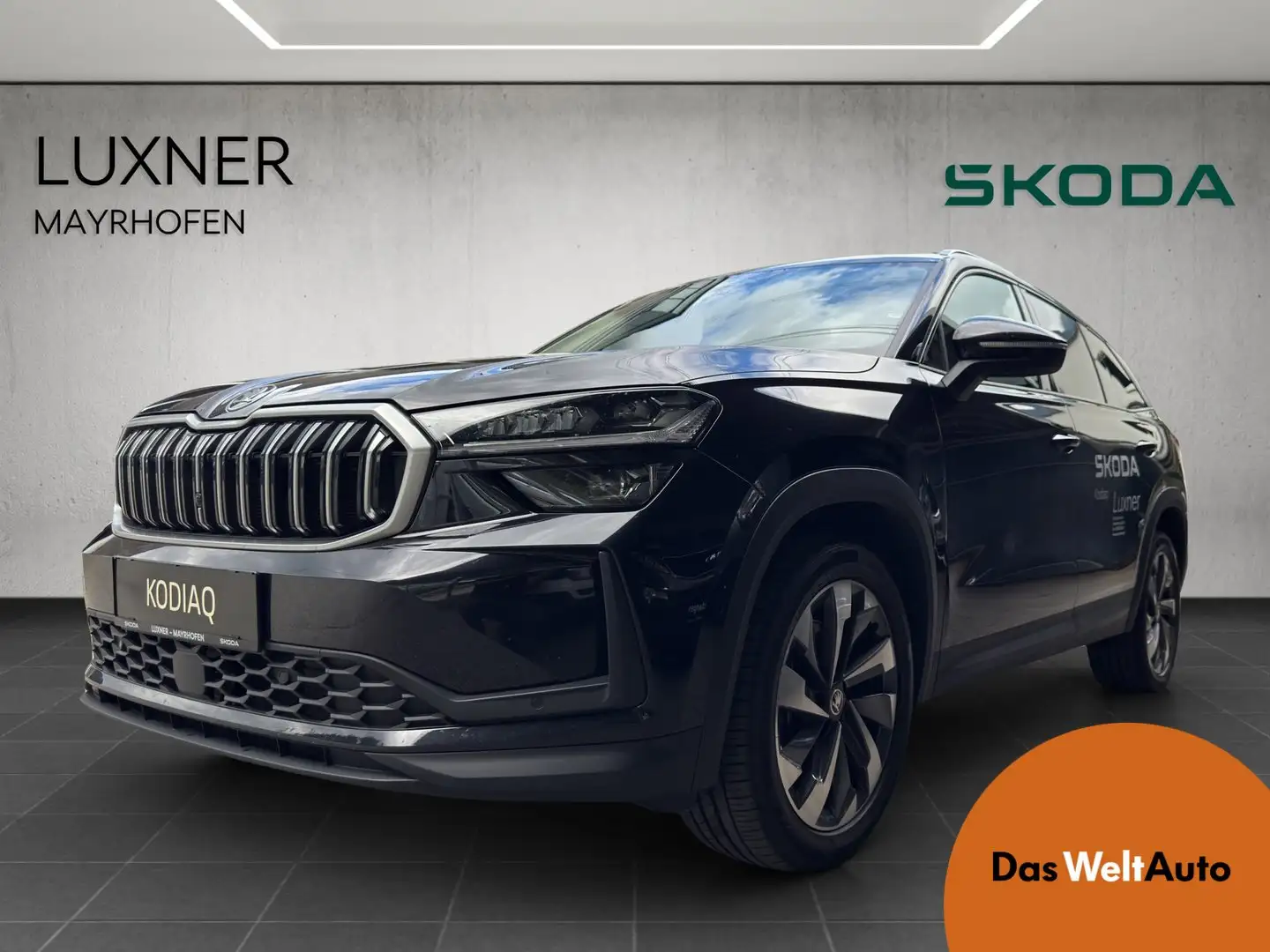 Skoda Kodiaq 4x4 Selection TDI DSG Noir - 1