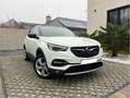 Opel Grandland X Grandland X 1.5 Turbo D Innovation (EU6.2) Wit - thumbnail 7
