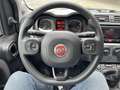 Fiat Panda 1.0 70cv S&S Hybrid E6d-T City Cross Grigio - thumbnail 9
