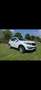 Kia Sportage 1.6 GDI X-ecutive + Wit - thumbnail 1